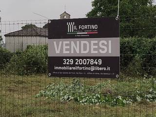 Zona