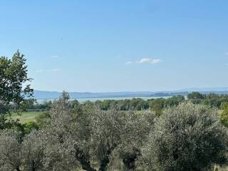 Vista