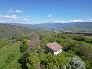 Vista