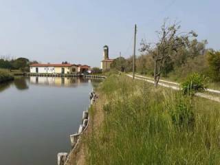 Zona