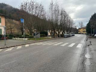 Zona