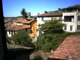 Zona