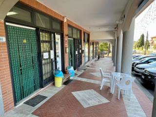 Ingresso