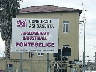 Zona