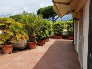 Terrazzo