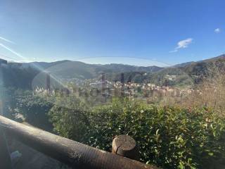 Vista