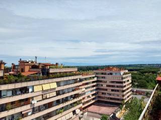 Vista