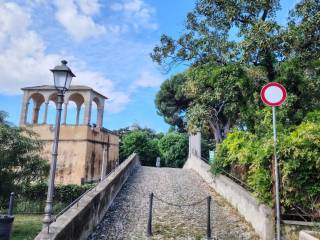 Zona