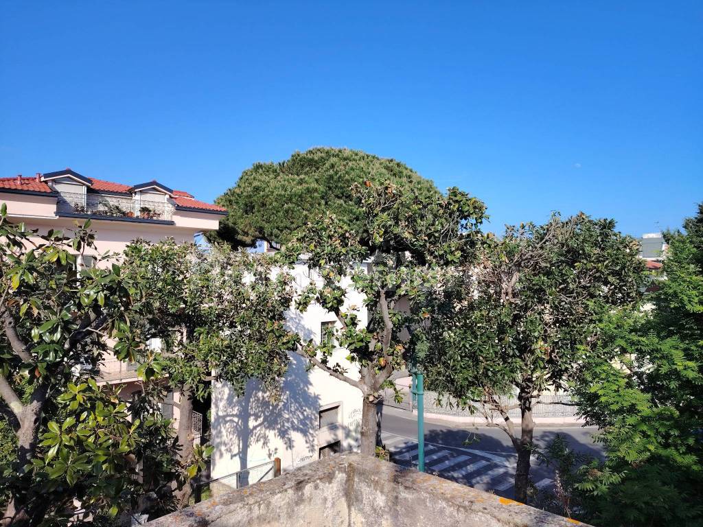 Vista