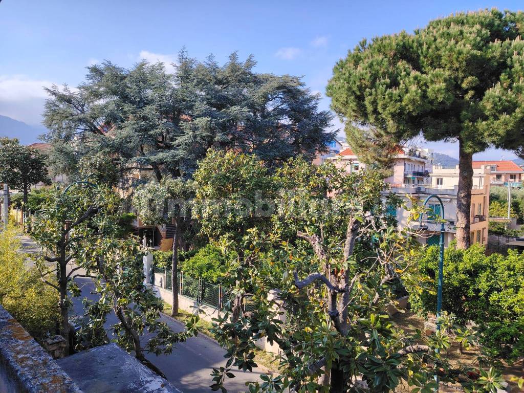 Vista