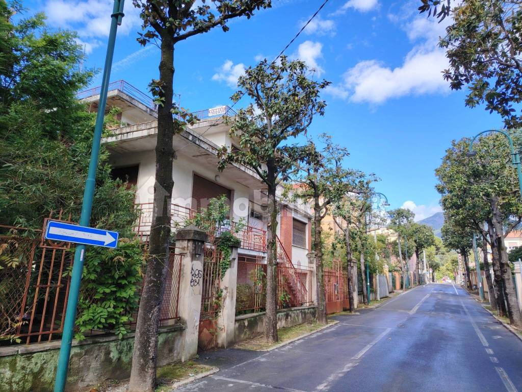 Zona