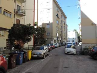 Zona