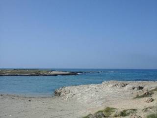 Zona