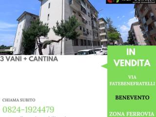Zona