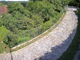 Ingresso