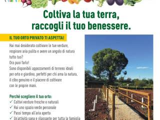 Altro