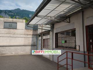Ingresso