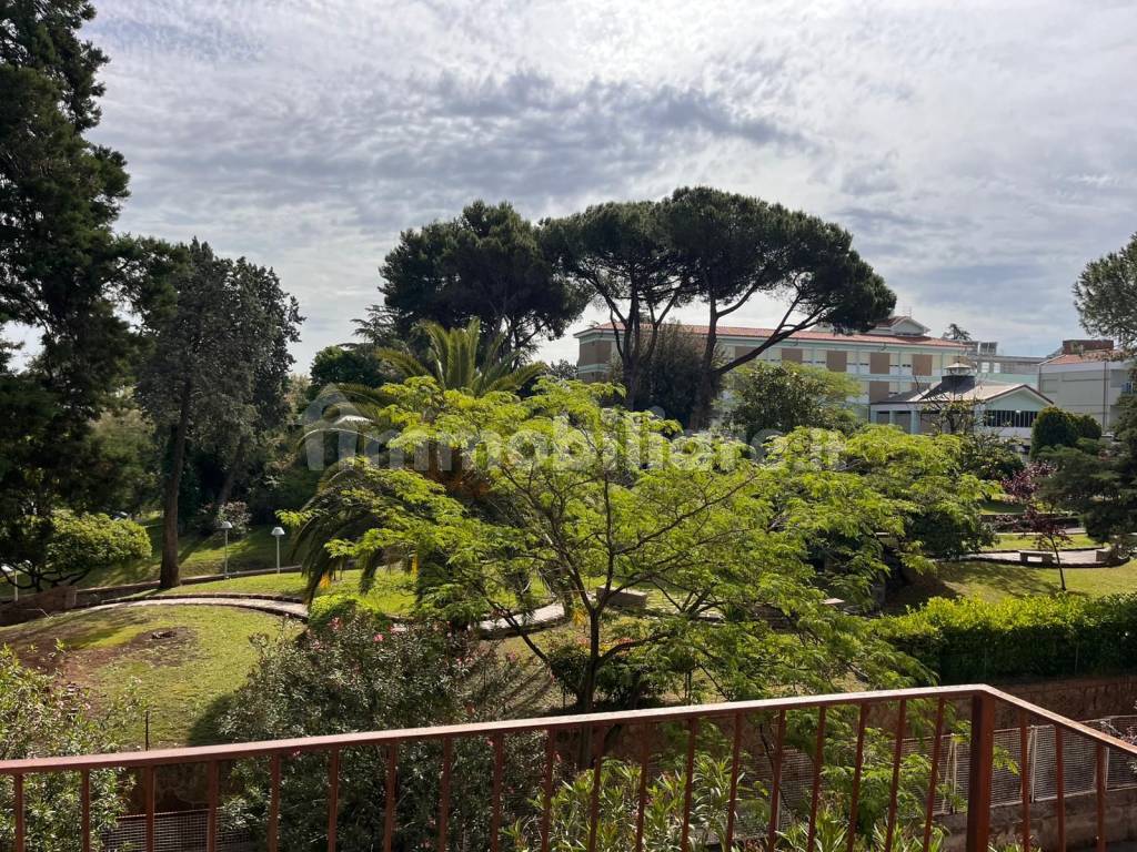Vista
