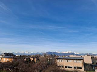 Vista