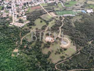 Terreno