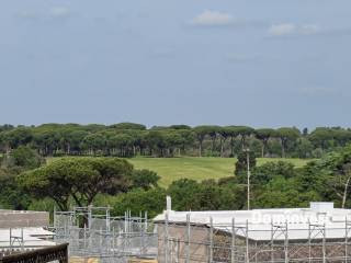 Vista