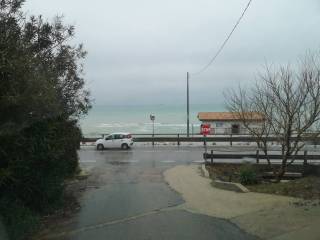 Zona