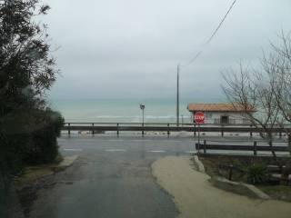 Zona