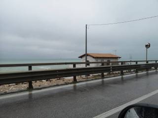 Zona