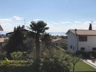 Vista
