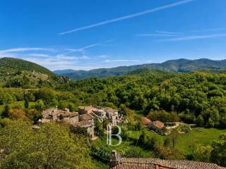 Vista