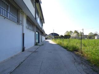 Zona