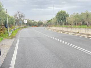 Zona