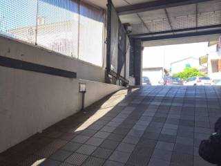 Ingresso