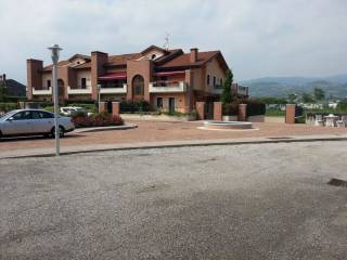 Zona