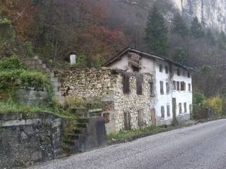 Zona