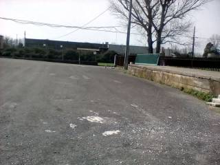 Zona