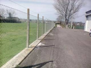 Zona