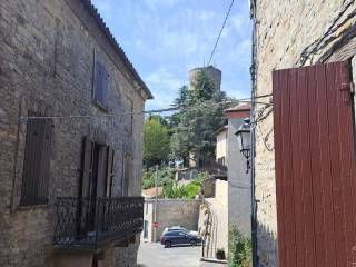 Zona