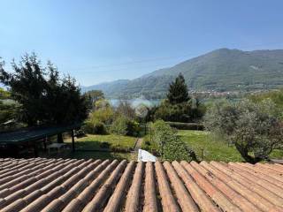 Vista