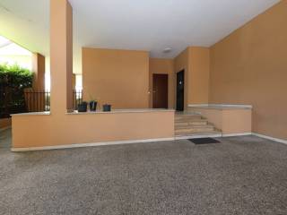 Ingresso