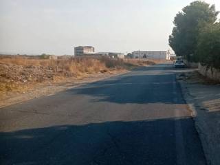 Zona
