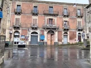 Zona