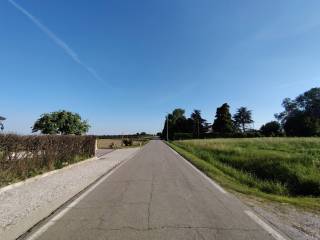 Zona