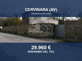 Zona
