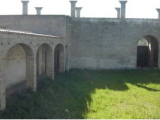 Zona