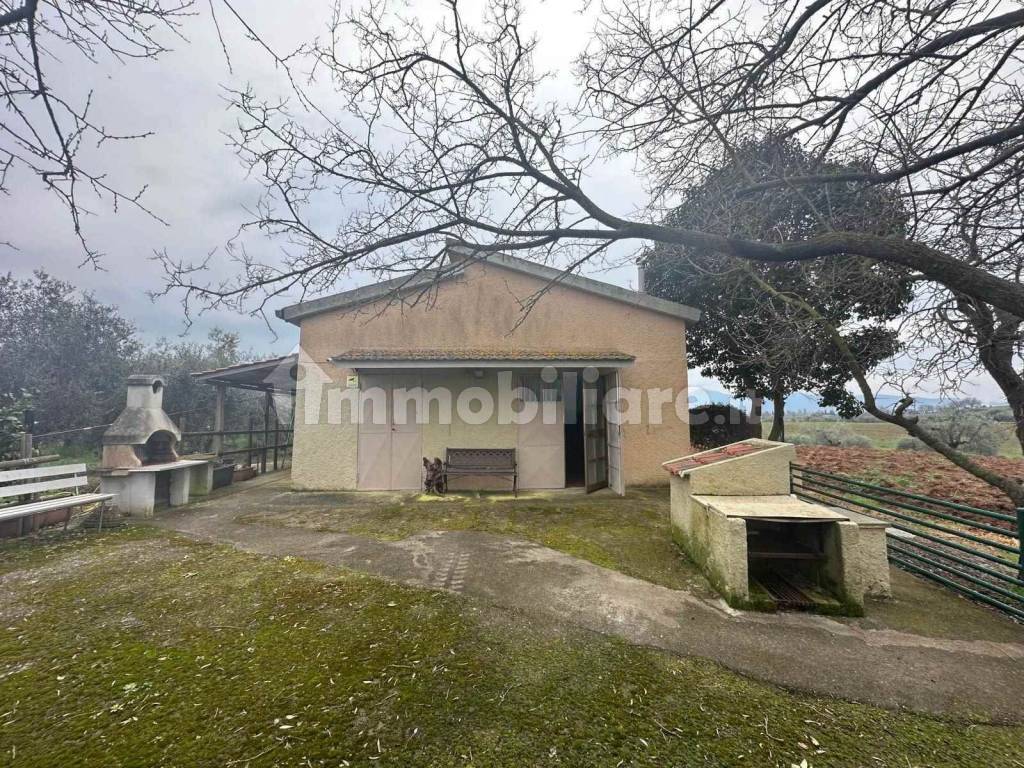Giardino