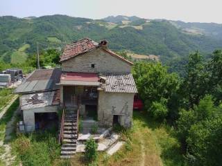 Vista