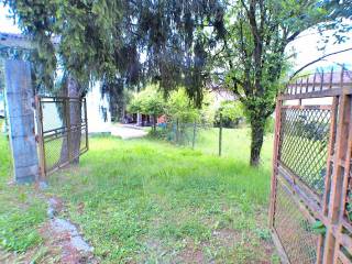 Ingresso