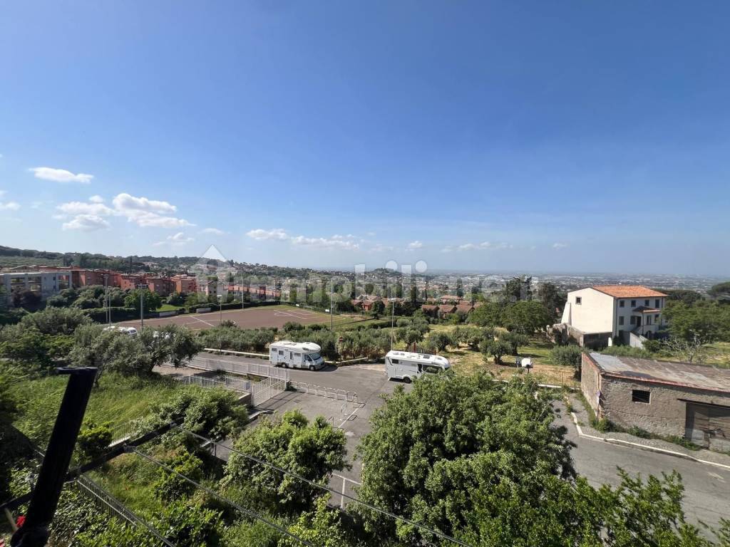 Vista