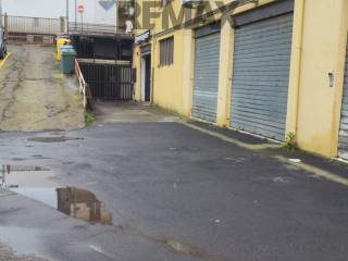 Zona